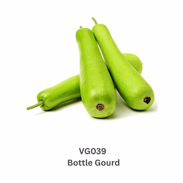 bottle gourd (lauki / doodhi / sorakaya)