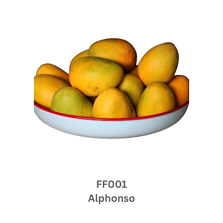 Mangoes-1