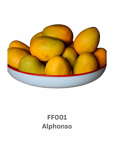 Mangoes-9503615
