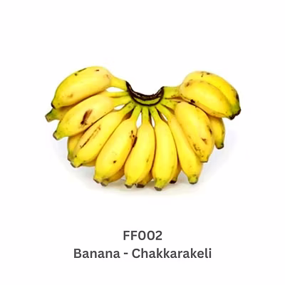 Bananas-1