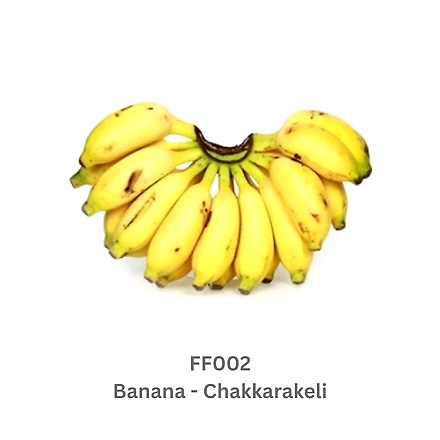 Banana-1