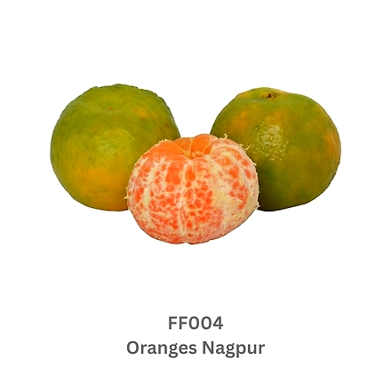 Oranges-9503619