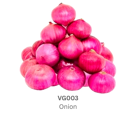 Onion-9503578
