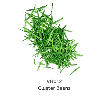 Cluster Beans-9503587