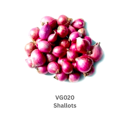 Shallots-9503595