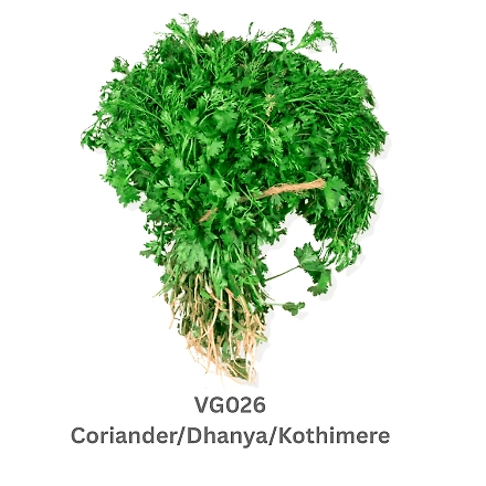 Coriander/Dhanya/Kothimere-9503601