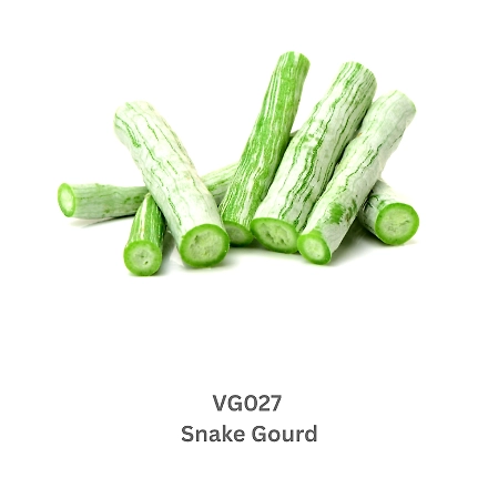 Snake Gourd-9503602
