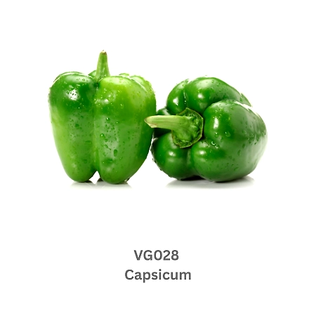 Green Capsicum-9503603