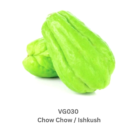 Chow Chow /  Ishkush-9503605