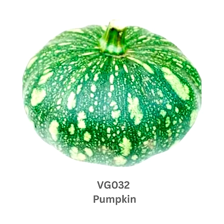 Pumpkin-9503607