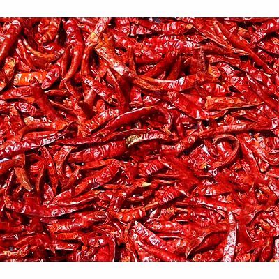 Red chili whole-12842108