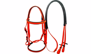Racing Bridle Set