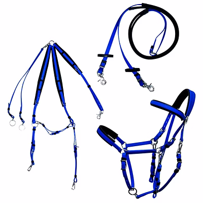 endurance bridle set