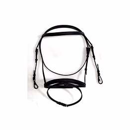basic leather bridle