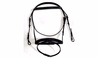 basic leather bridle