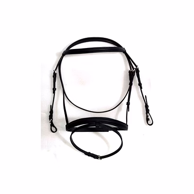 basic leather bridle