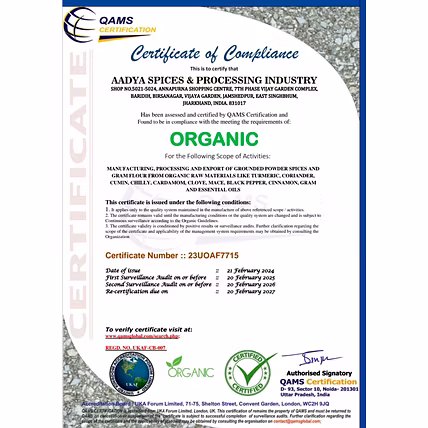 AADYA A1 LEMON GINGER SATTUA-1