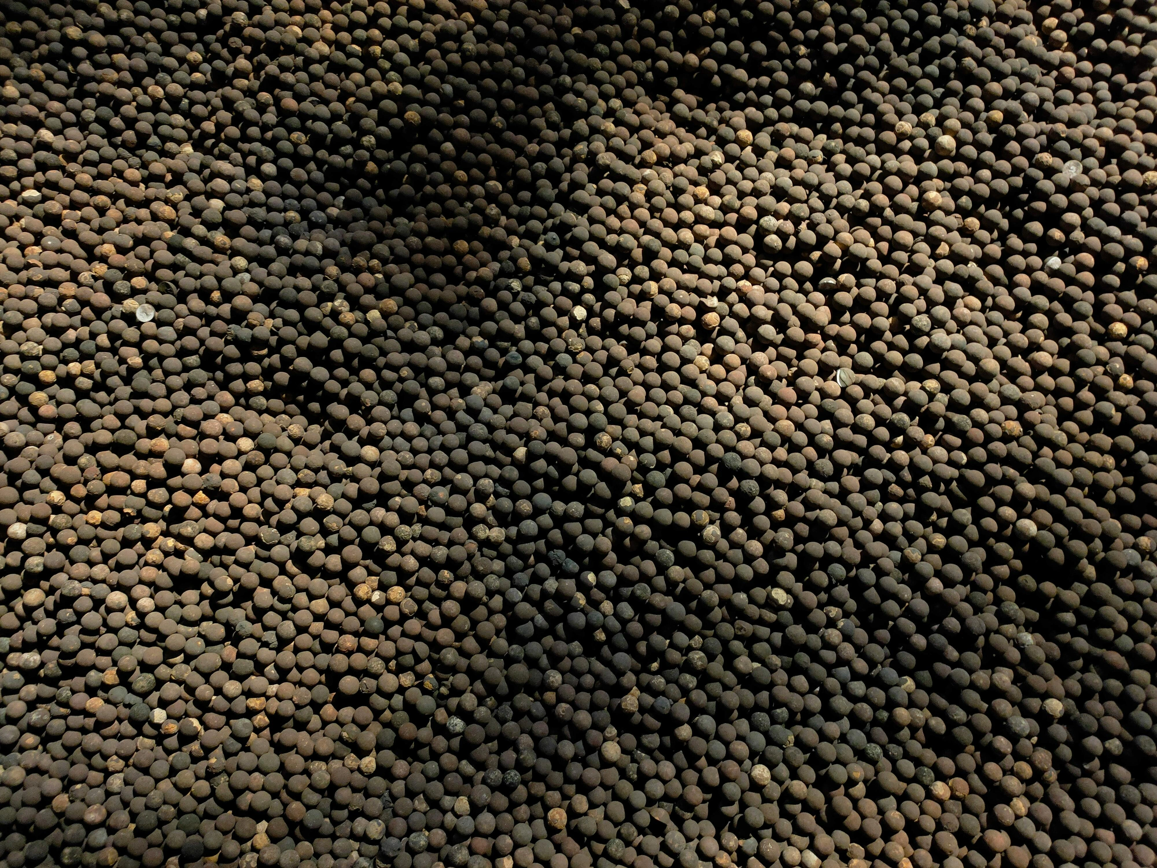 Black Pepper Whole-1