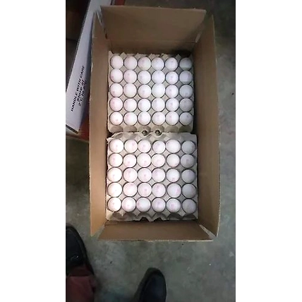 eggs-1