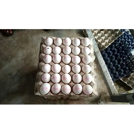eggs-2