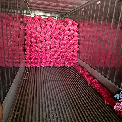onion-1