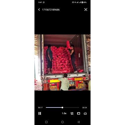 onion-3