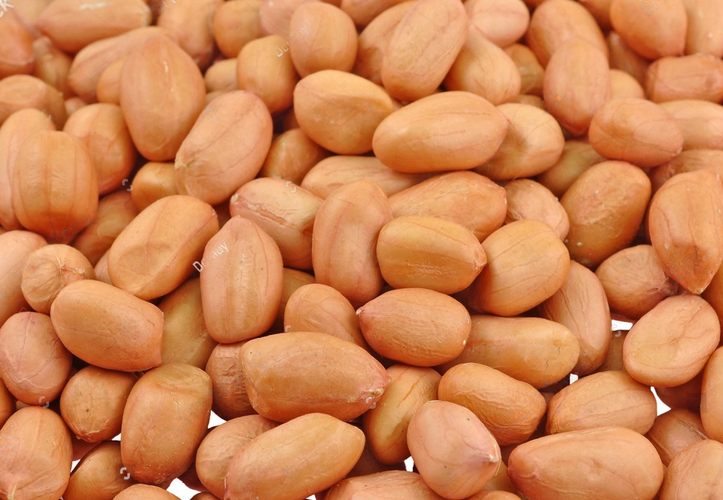 GROUNDNUT-970987-f2b9cb11