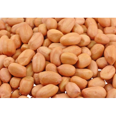 GROUNDNUT