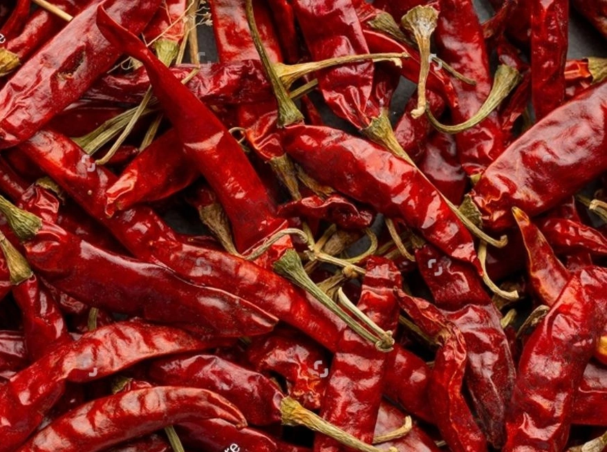 DRY RED CHILLI-970987-b597d012