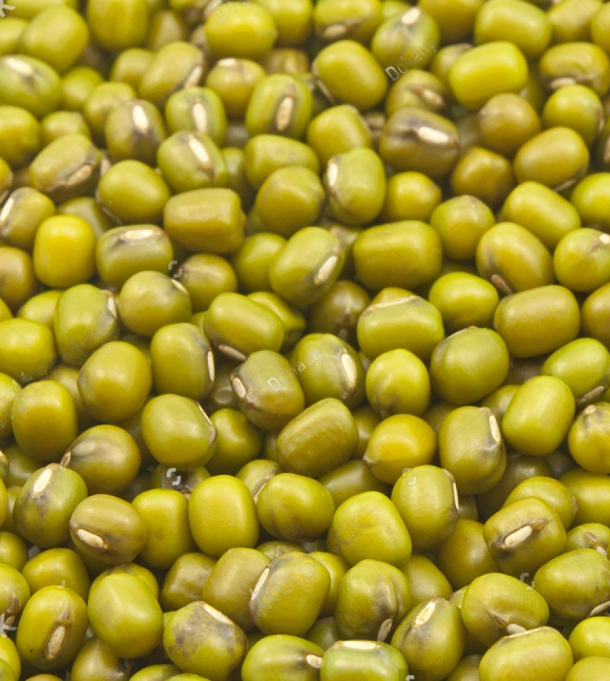 GREEN GRAM(MUNG BEANS)-970987-709e133b