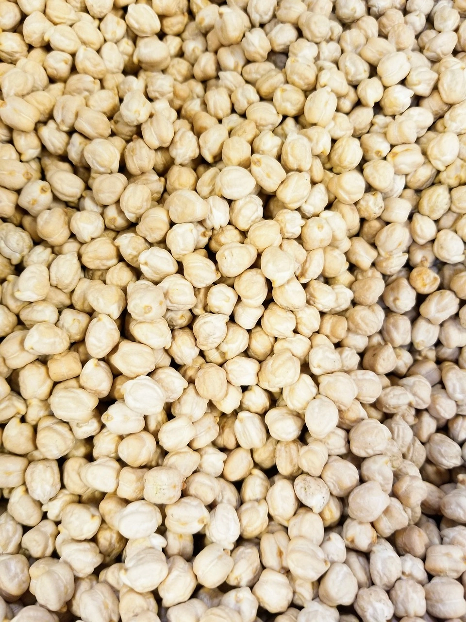 GARBANZO BEANS(KABULI CHANA)-970987-8ddb9258