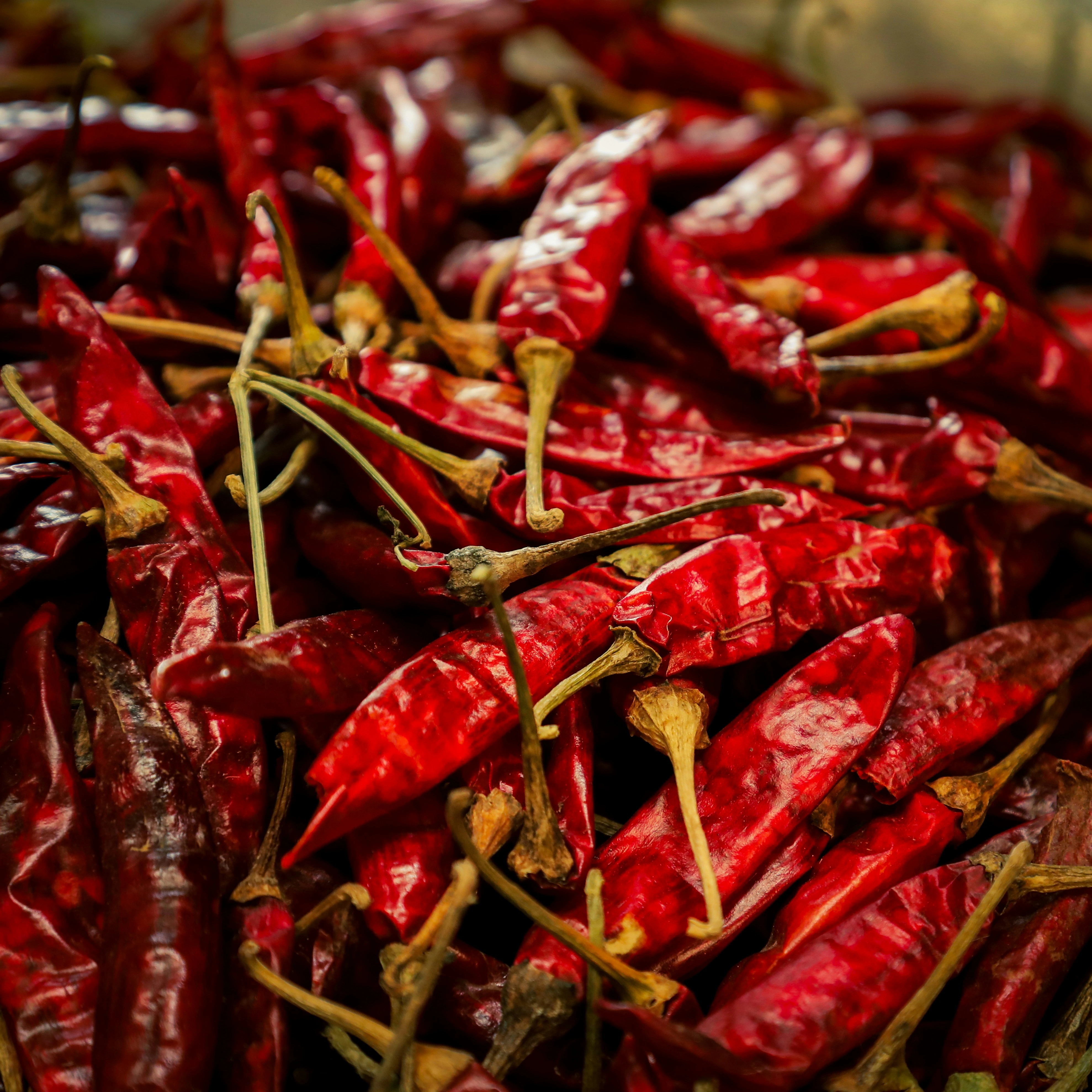 DRY RED CHILLI-2