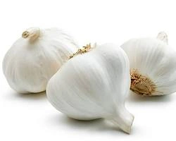 GARLIC-970987-2fdde8ff