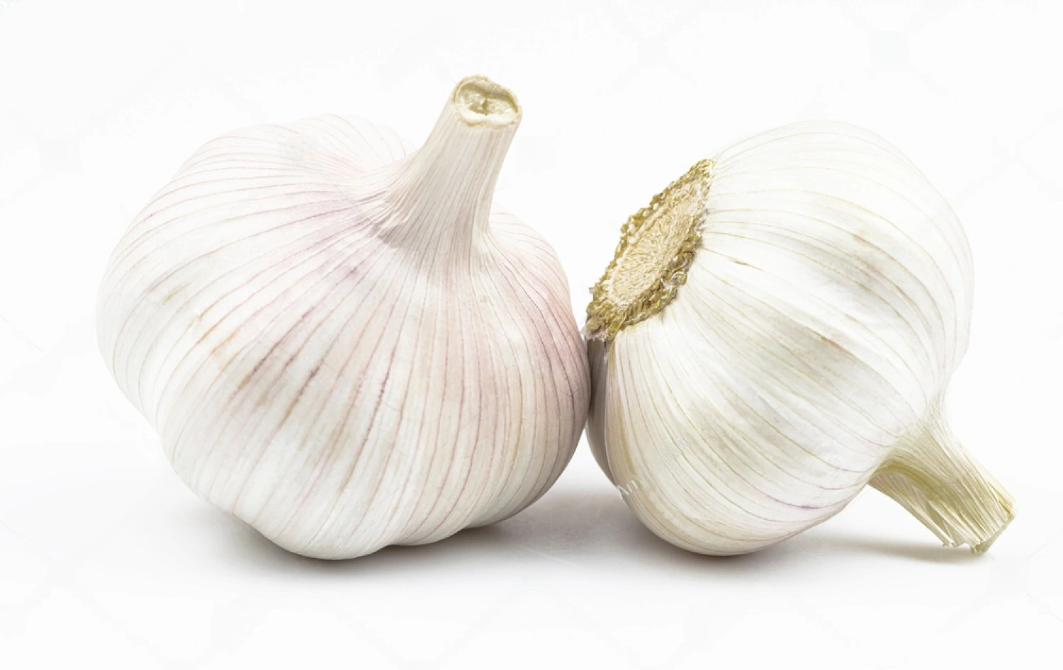 GARLIC-2