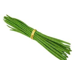 DRUMSTICK(MORINGA)-970987-a055d957