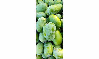 Gir kesar mango