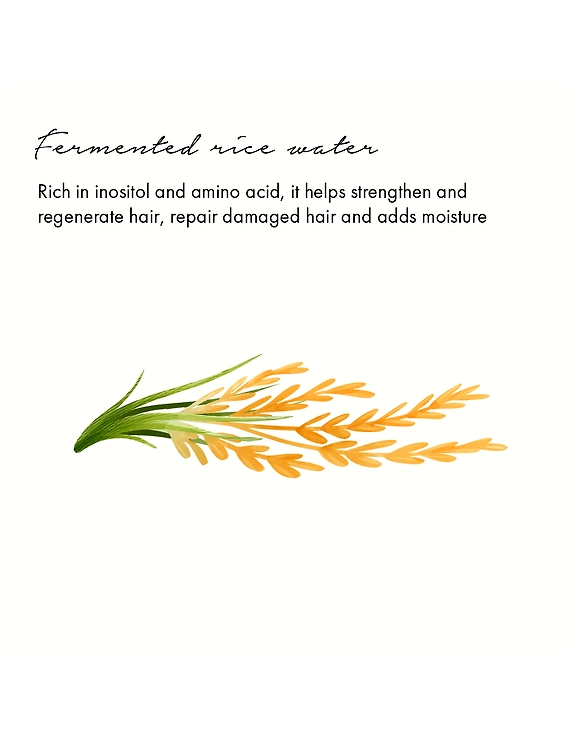 Fermented Rice Water Hair Mask-3