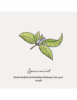 Botanical Sea Salt and Spearmint Toothpaste (100 gm)-1-sm