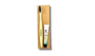 Dental Kit