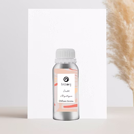 diffuser oil - oudh mystique