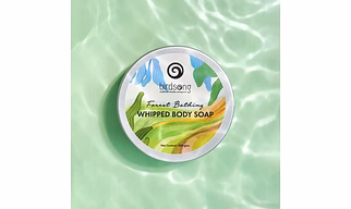 Whipped Body Soap - Forest Bathing