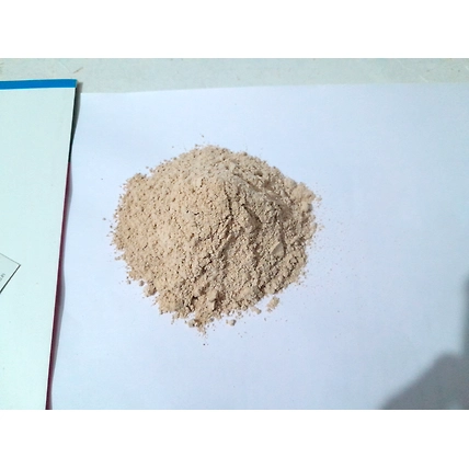 Dehydrated Garlic Powder-1