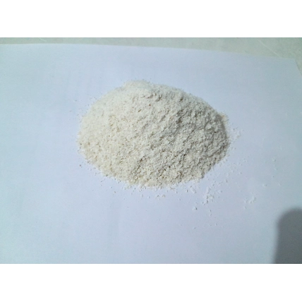 Dehydrated White Onion Powder-12489482
