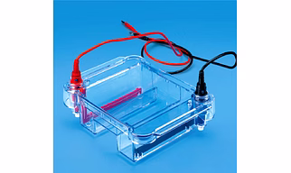 Horizontal Electrophoresis app