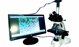 Research Microscope Trinocular with camera