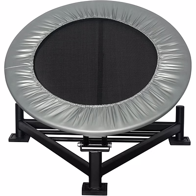 iris hot sale pro bounce medicine ball rebounder