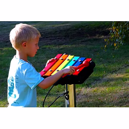 iris outdoor metallophone for kids