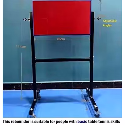 iris table tennis rebound board