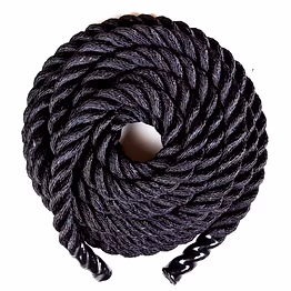 iris exercise equipment heavy durable fitness gym ropes
