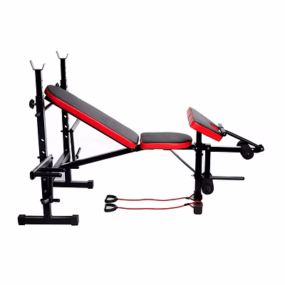 iris oem custom made multi functional fitness bench